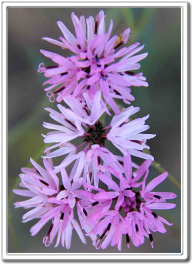 Photography Art Prints
